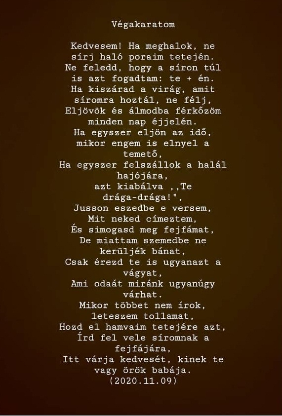 nanoweb kép