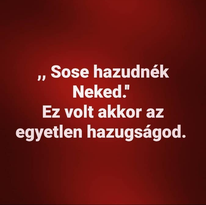 nanoweb kép